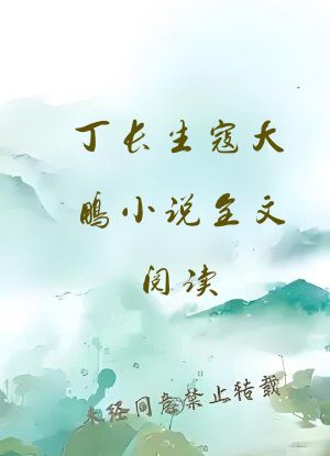 丁长生寇大鹏小说全文阅读