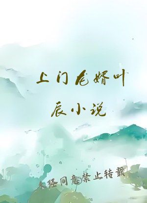 上门龙婿叶辰小说