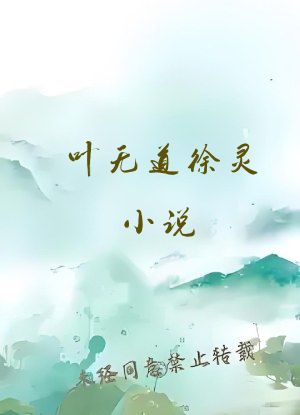 叶无道徐灵小说