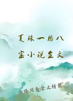 夏珠一胎八宝小说全文