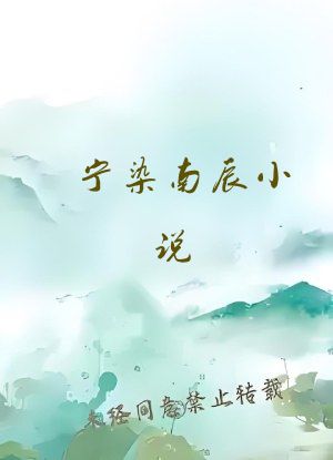 宁染南辰小说