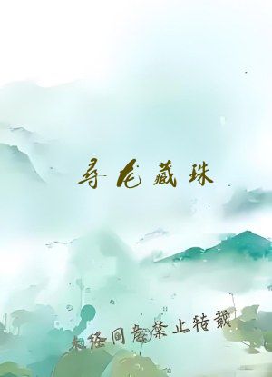寻龙藏珠
