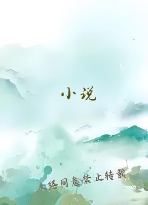 小说