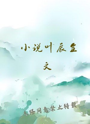 小说叶辰全文