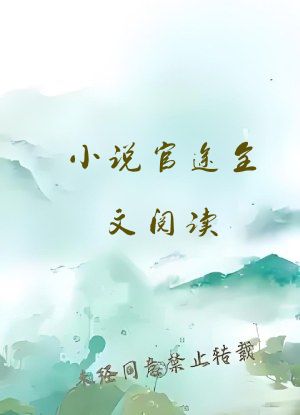 小说官途全文阅读