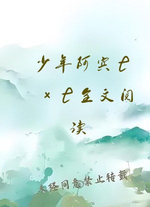 少年阿宾txt全文阅读