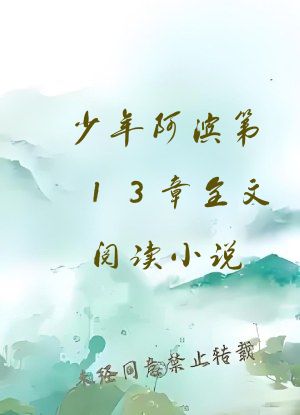 少年阿滨第13章全文阅读小说