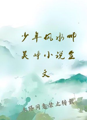 少年风水师吴峥小说全文