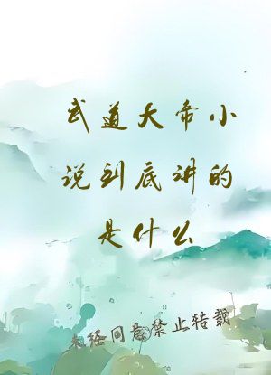 武道大帝小说到底讲的是什么