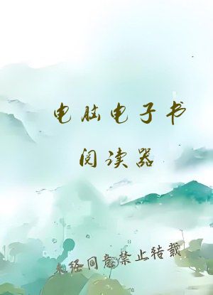 电脑电子书阅读器