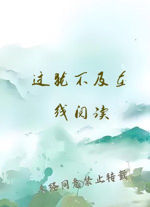 过犹不及在线阅读
