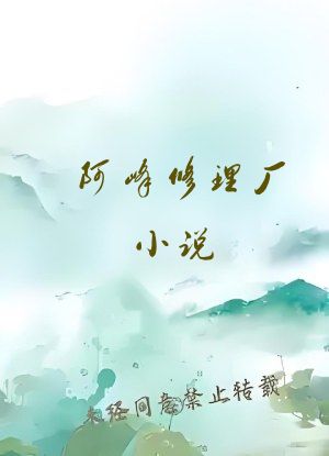 阿峰修理厂小说